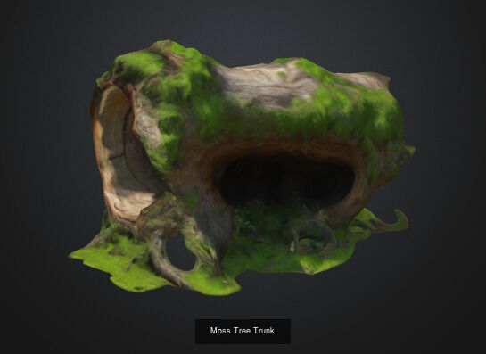 tree stumps and trunks 3D Model Collection_16