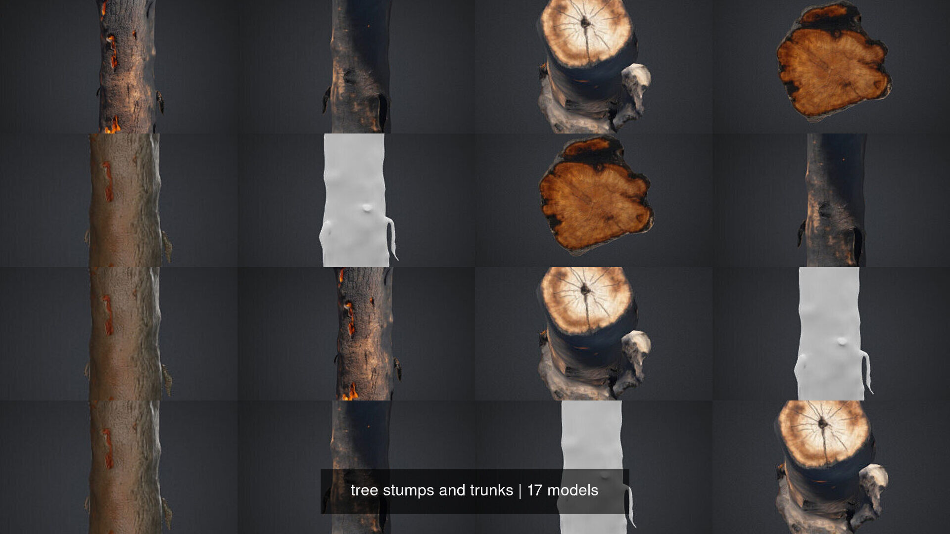 tree stumps and trunks 3D Model Collection_2