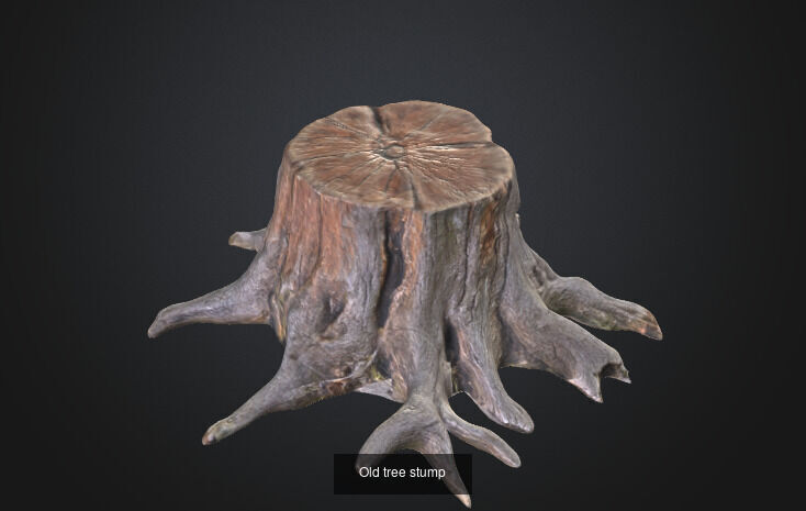 tree stumps and trunks 3D Model Collection_3