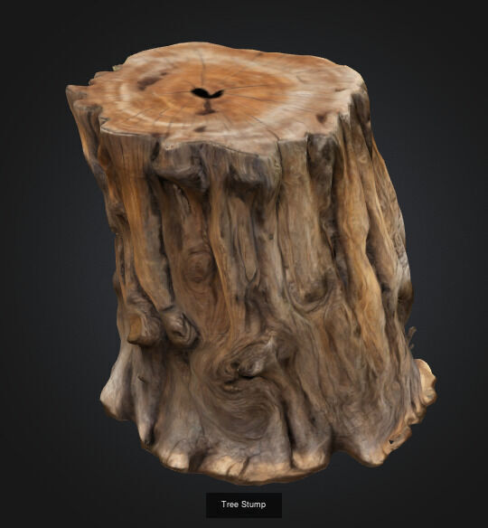 tree stumps and trunks 3D Model Collection_10