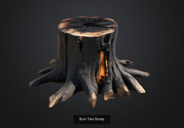 tree stumps and trunks 3D Model Collection_4