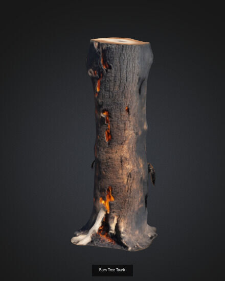 tree stumps and trunks 3D Model Collection_19