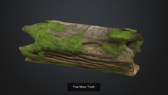 tree stumps and trunks 3D Model Collection_17
