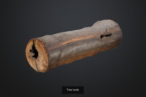 tree stumps and trunks 3D Model Collection_14