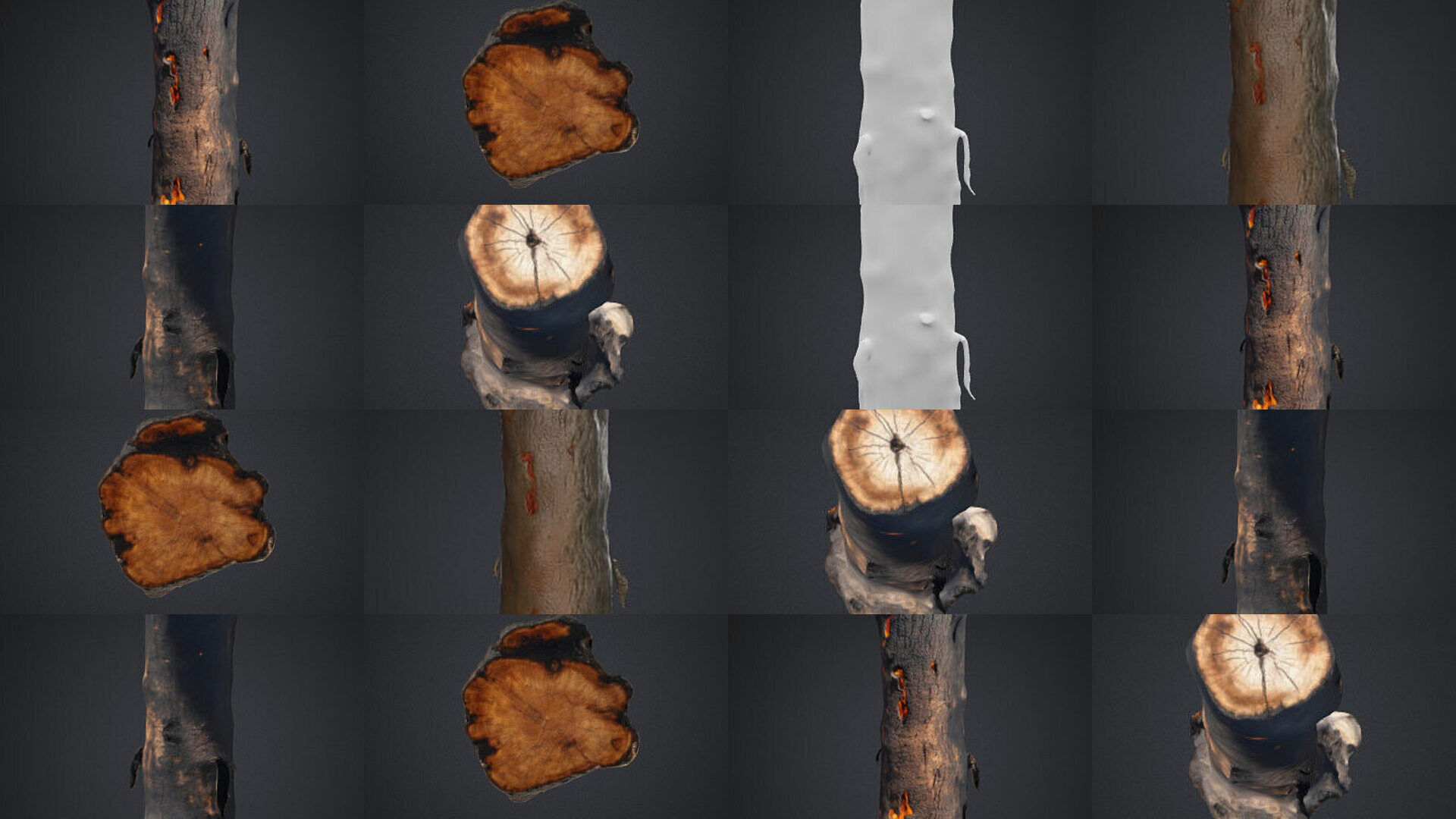 tree stumps and trunks 3D Model Collection_1