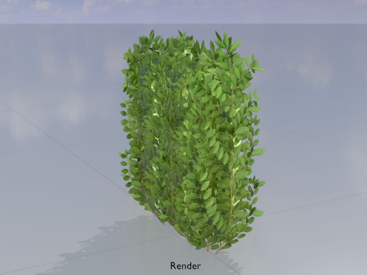 Cherry laurel hedge 500mm version-2 Low-poly 3D model_14