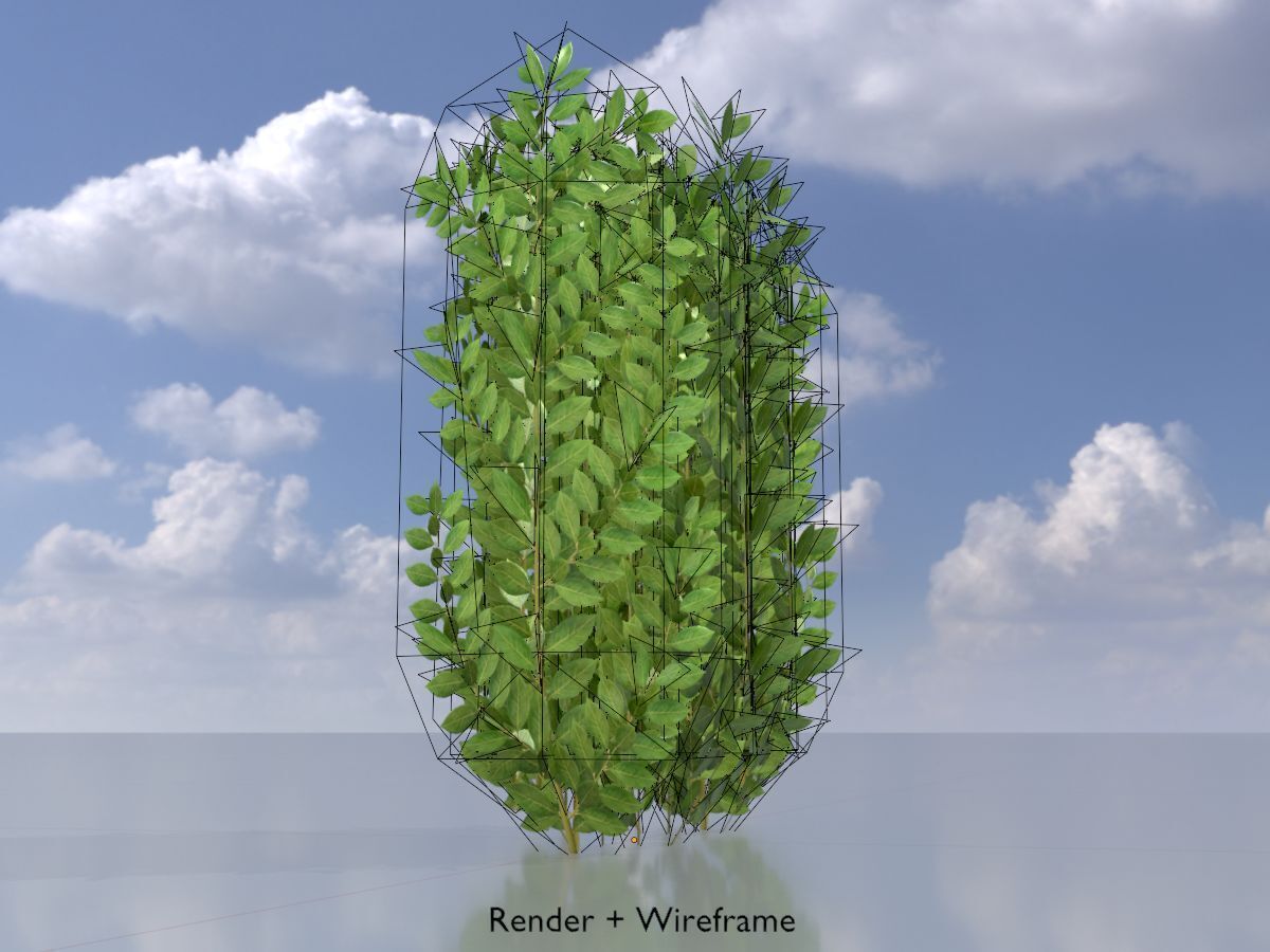 Cherry laurel hedge 500mm version-2 Low-poly 3D model_6