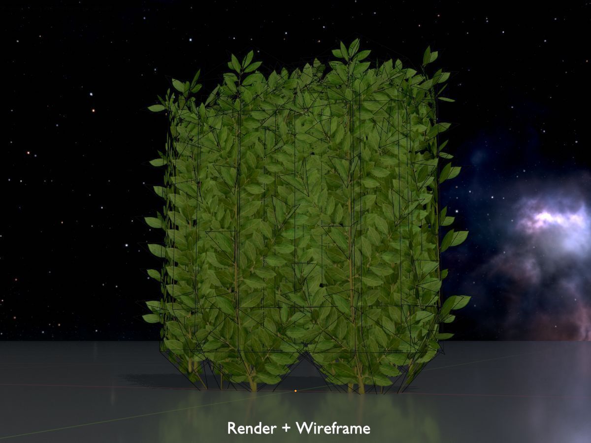 Cherry laurel hedge 500mm version-2 Low-poly 3D model_7
