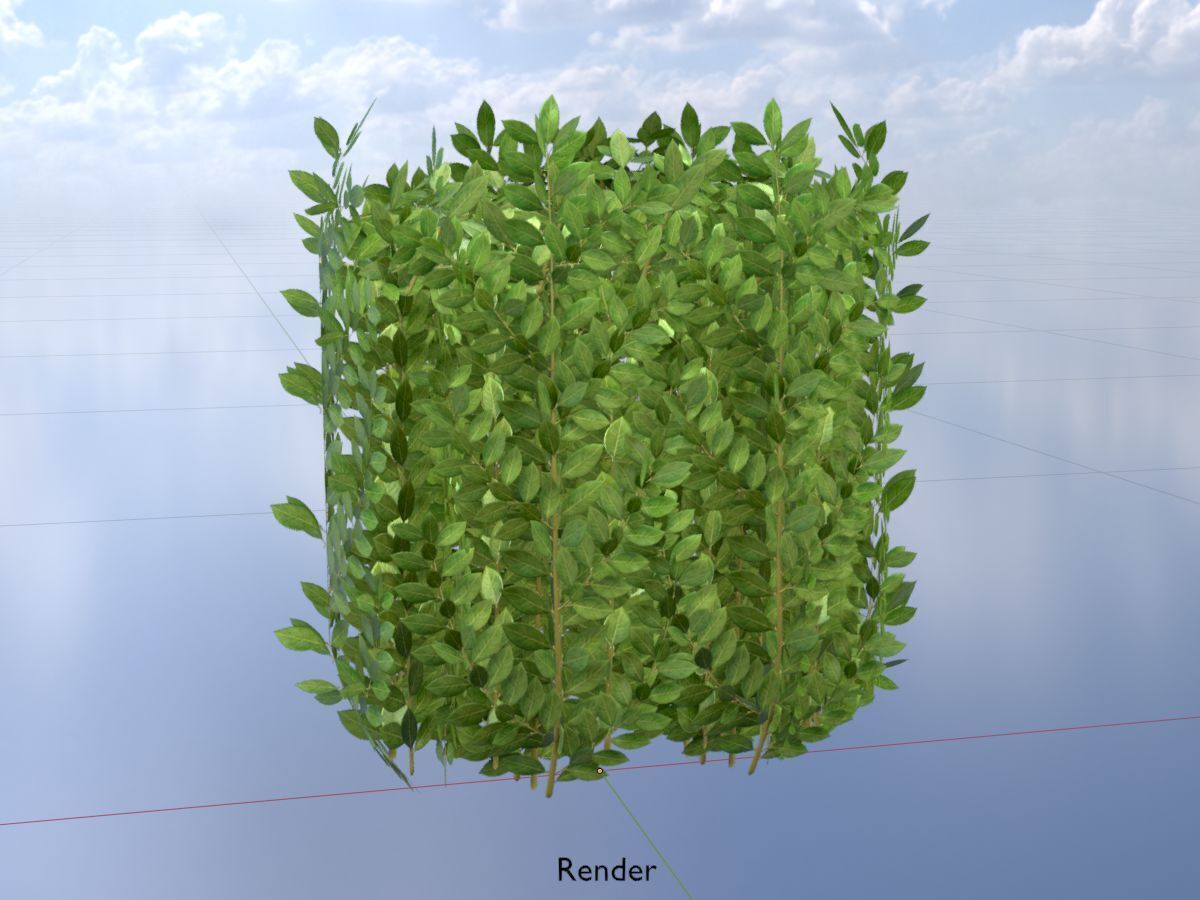 Cherry laurel hedge 500mm version-2 Low-poly 3D model_19