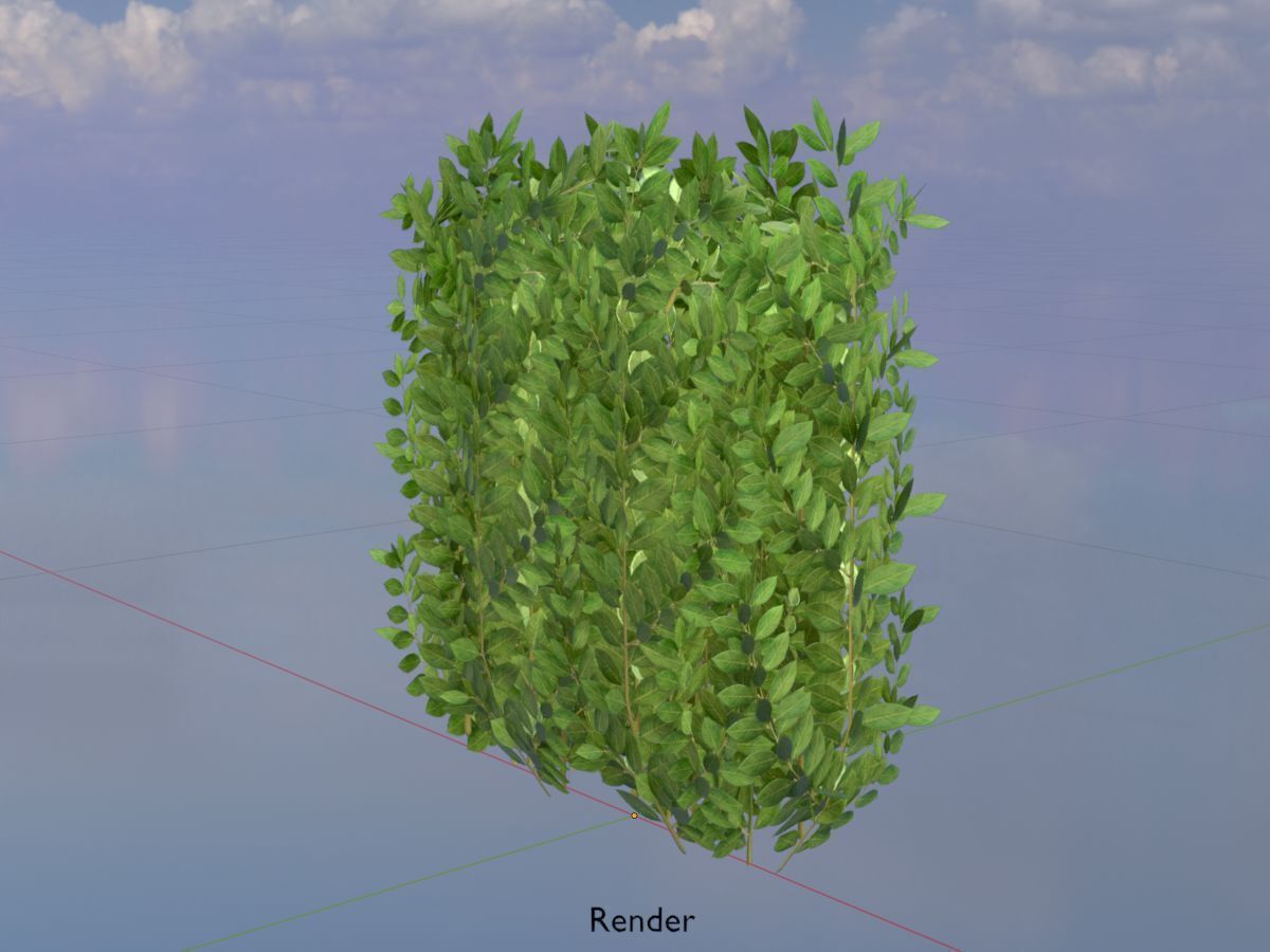 Cherry laurel hedge 500mm version-2 Low-poly 3D model_18