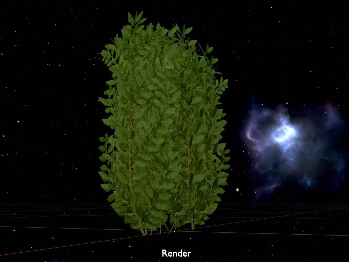 Cherry laurel hedge 500mm version-2 Low-poly 3D model_20