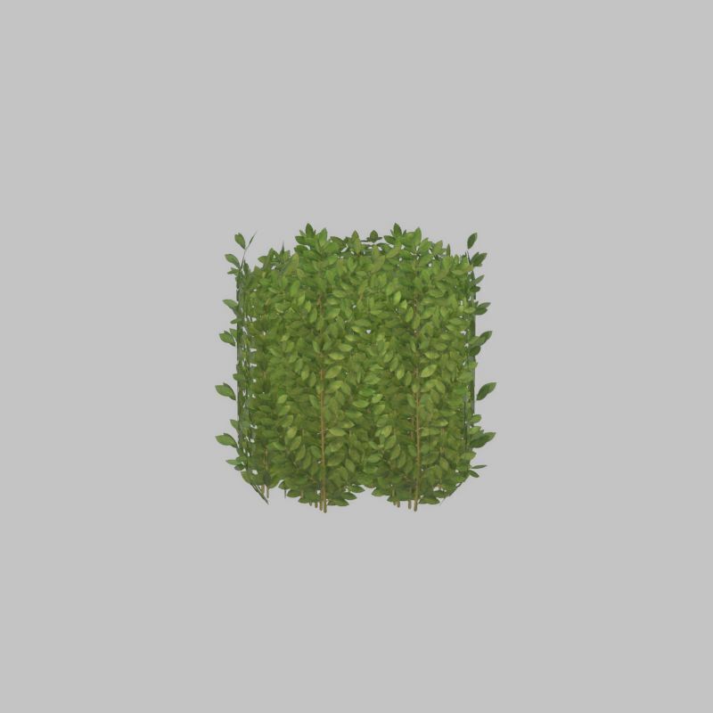 Cherry laurel hedge 500mm version-2 Low-poly 3D model_29