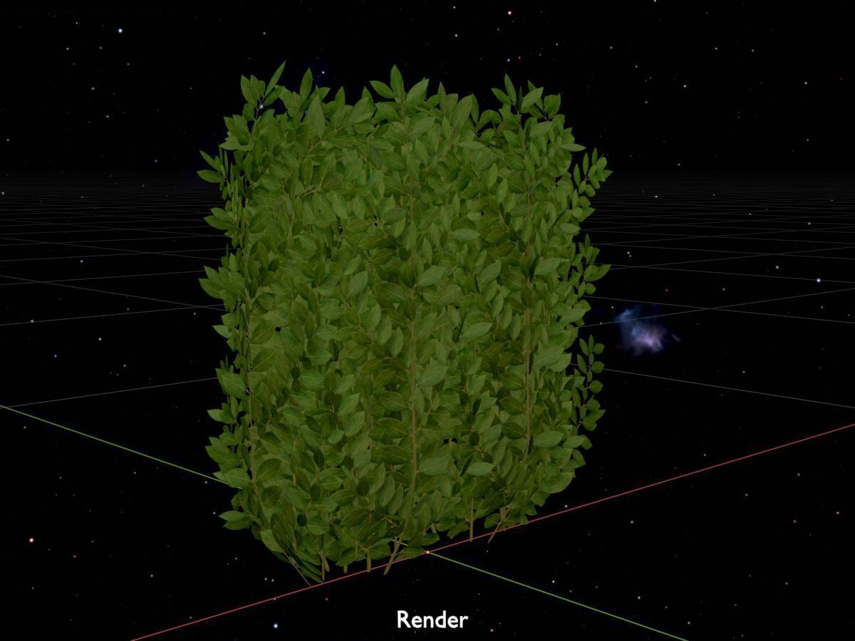 Cherry laurel hedge 500mm version-2 Low-poly 3D model_17