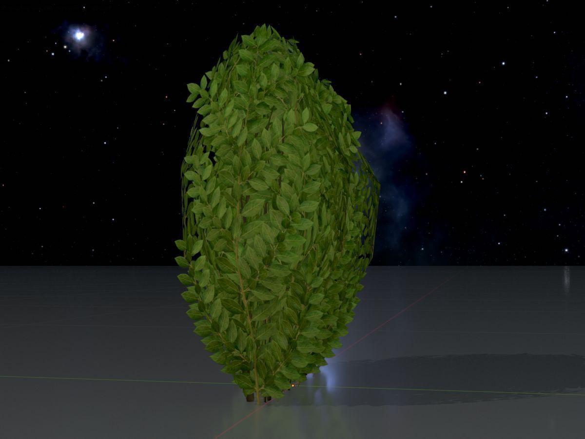 Cherry laurel hedge 500mm version-3 Low-poly 3D model_4