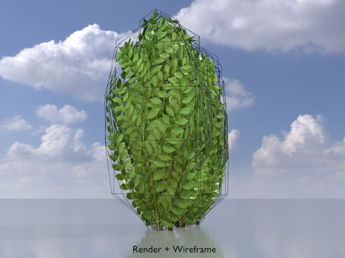 Cherry laurel hedge 500mm version-3 Low-poly 3D model_6