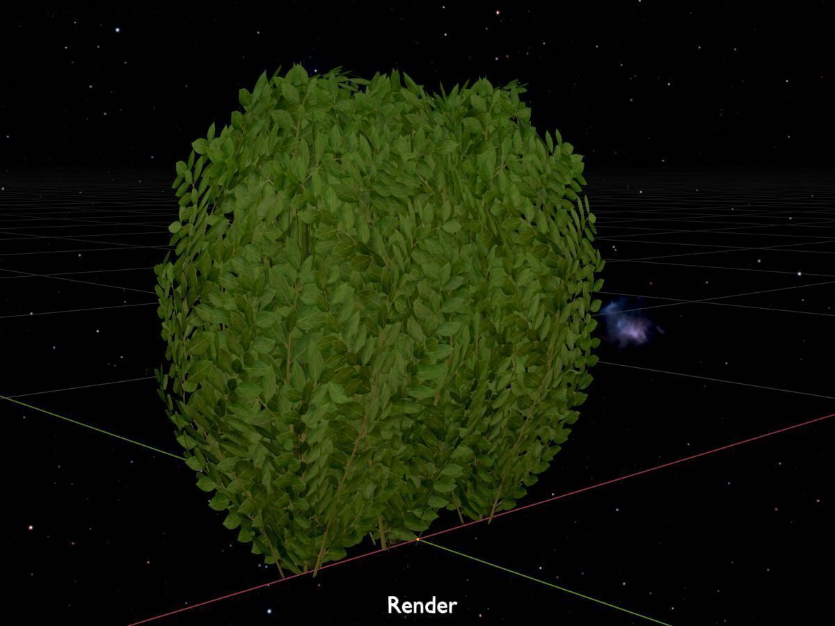 Cherry laurel hedge 500mm version-3 Low-poly 3D model_17