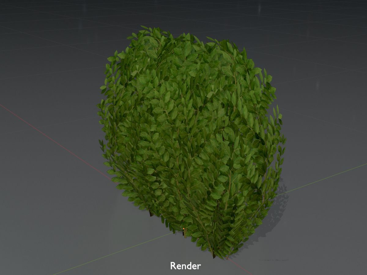 Cherry laurel hedge 500mm version-3 Low-poly 3D model_16