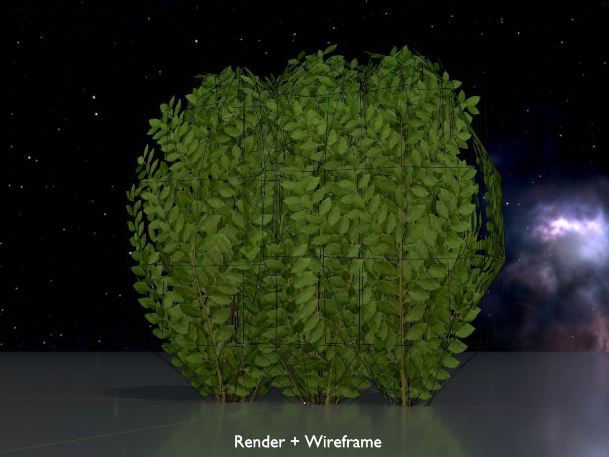 Cherry laurel hedge 500mm version-3 Low-poly 3D model_7