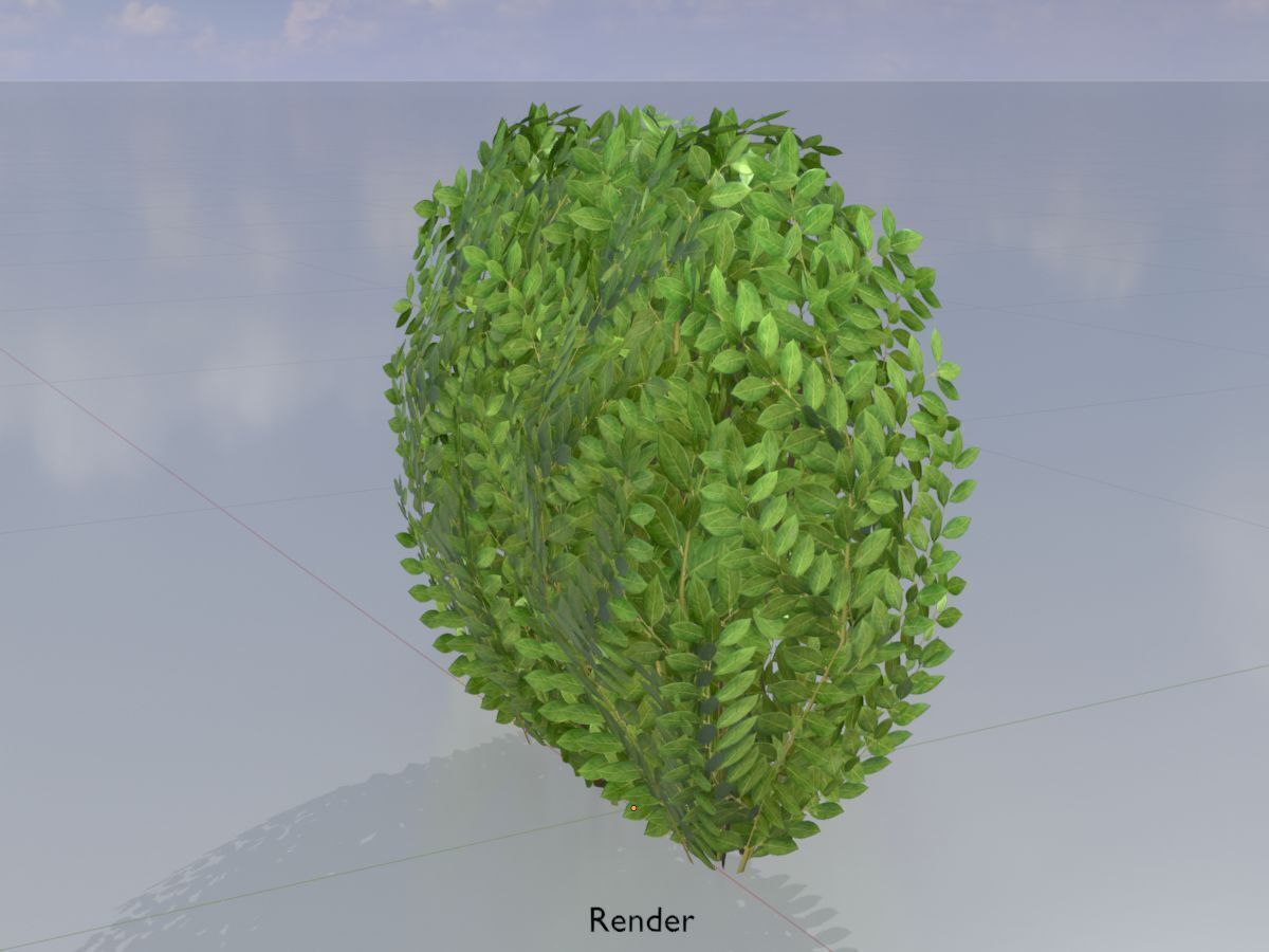 Cherry laurel hedge 500mm version-3 Low-poly 3D model_14
