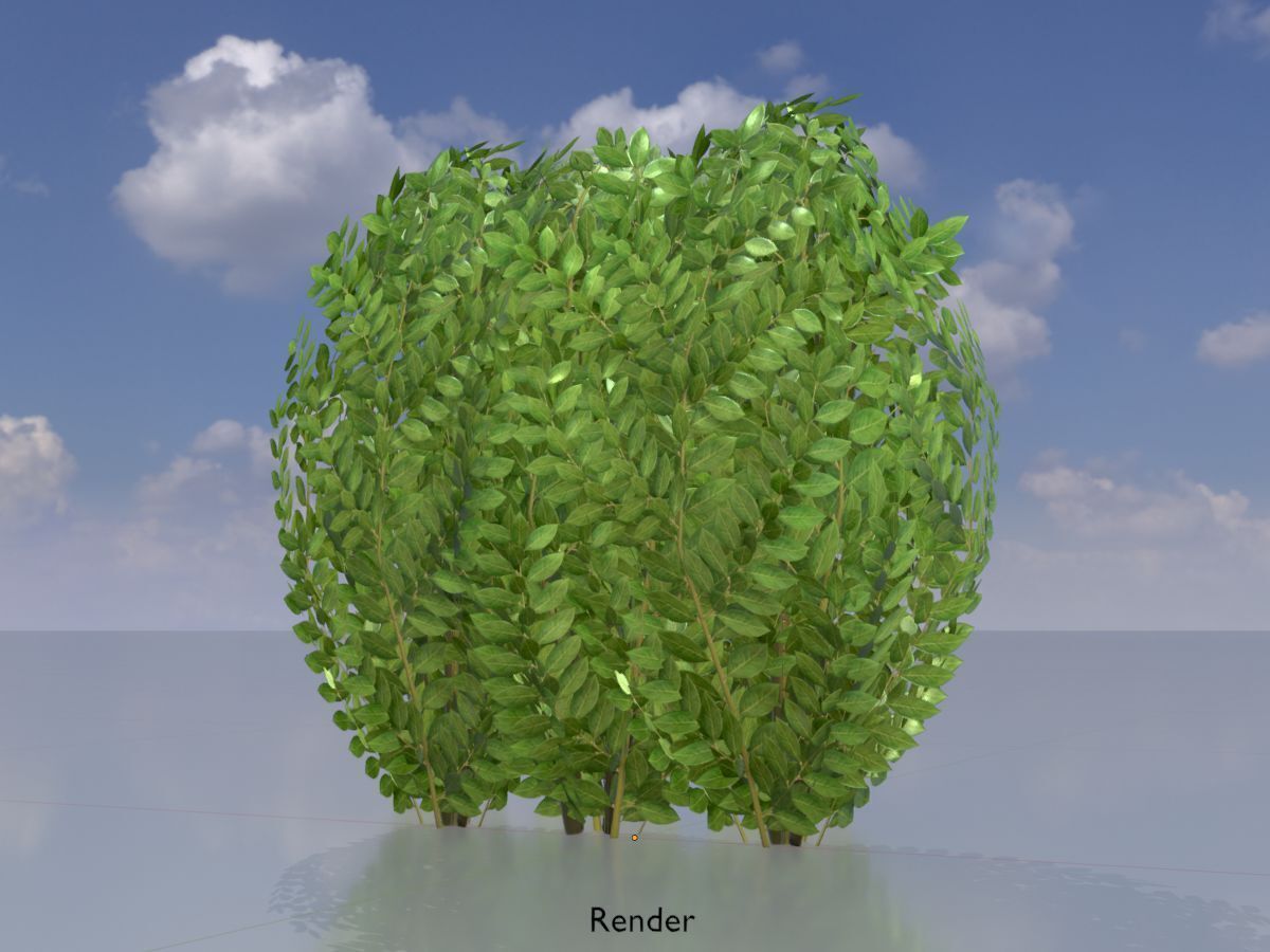 Cherry laurel hedge 500mm version-3 Low-poly 3D model_13