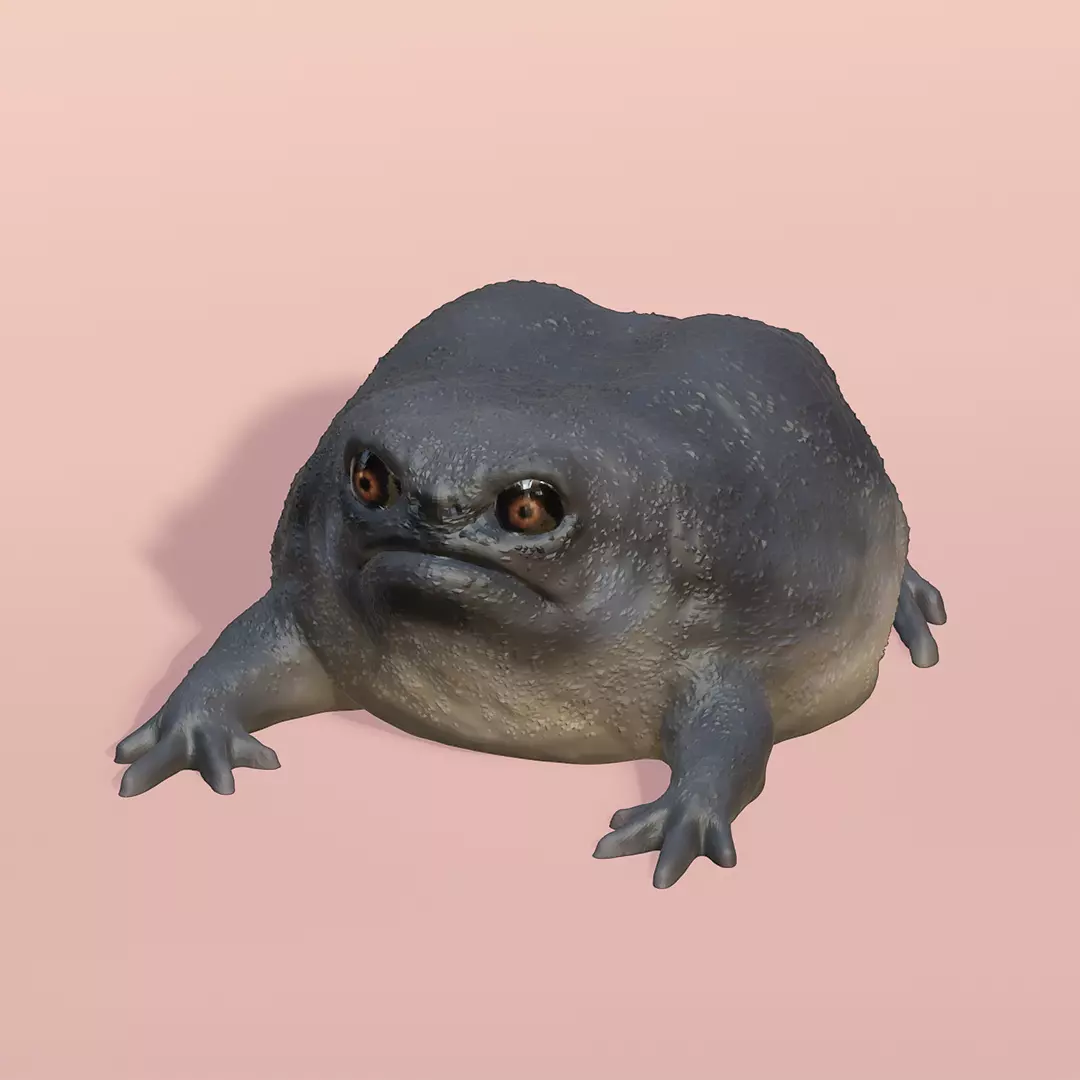 Black Rain Frog 3D print model