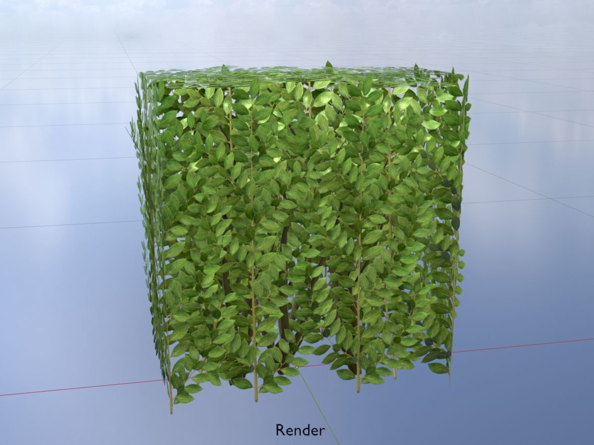 Cherry laurel hedge 500mm version-4 Low-poly 3D model_19