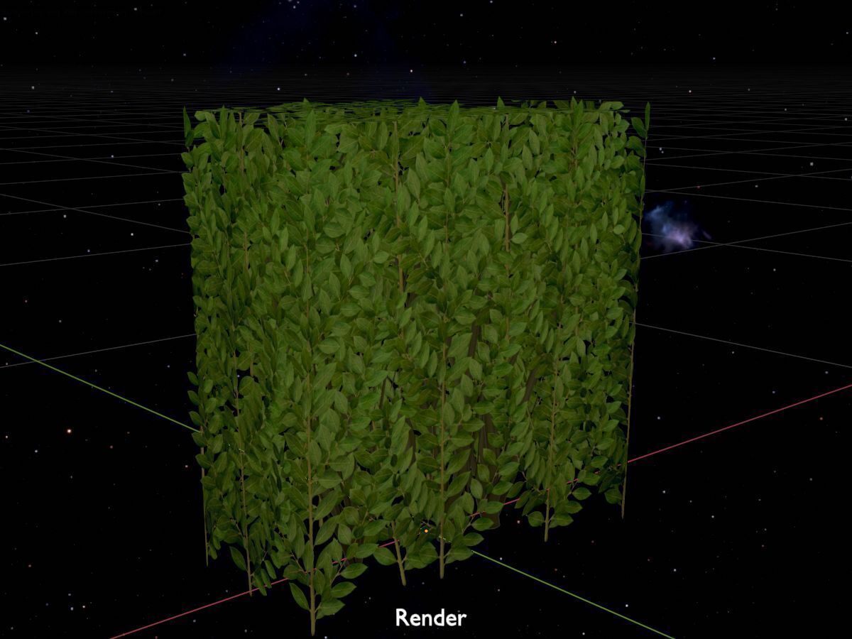 Cherry laurel hedge 500mm version-4 Low-poly 3D model_17