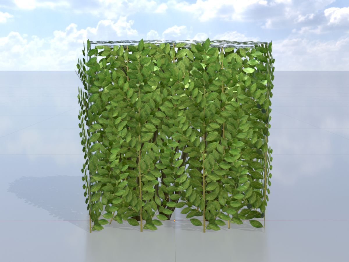 Cherry laurel hedge 500mm version-4 Low-poly 3D model_3