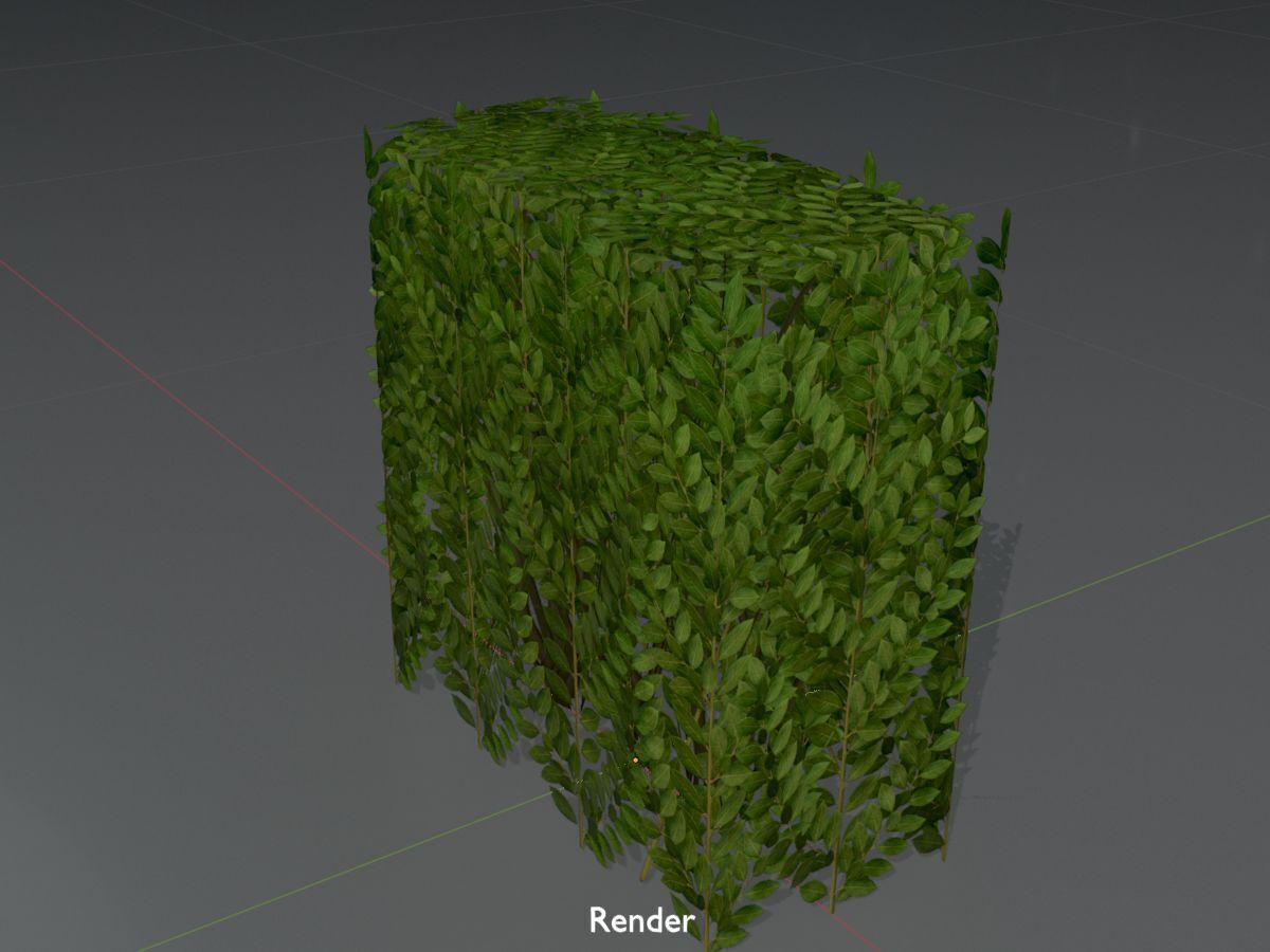 Cherry laurel hedge 500mm version-4 Low-poly 3D model_16
