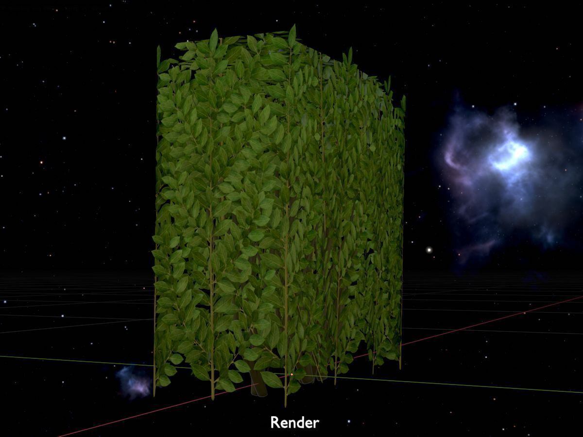 Cherry laurel hedge 500mm version-4 Low-poly 3D model_20