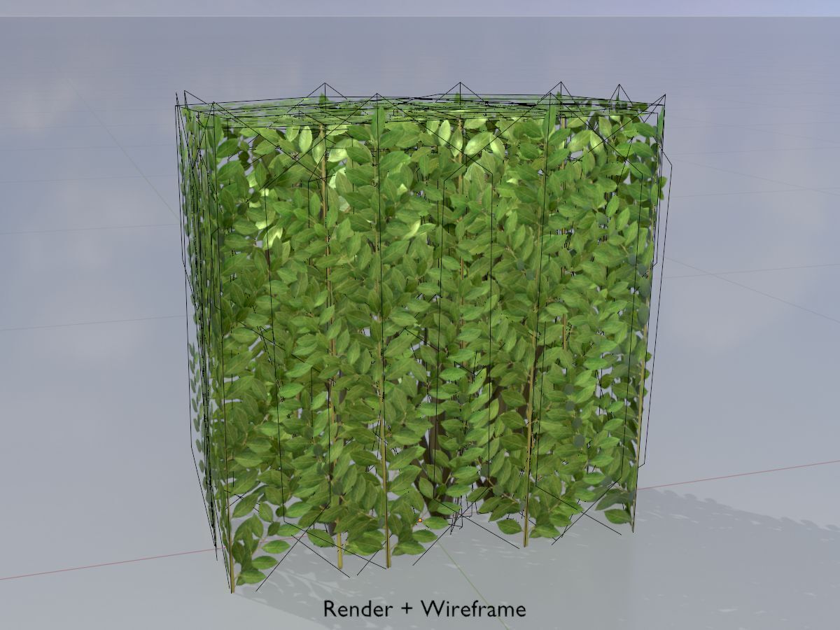 Cherry laurel hedge 500mm version-4 Low-poly 3D model_5