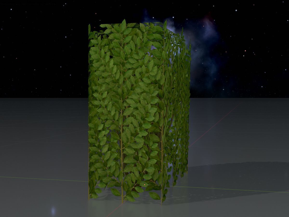 Cherry laurel hedge 500mm version-4 Low-poly 3D model_4