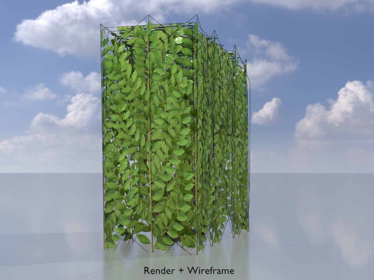 Cherry laurel hedge 500mm version-4 Low-poly 3D model_6
