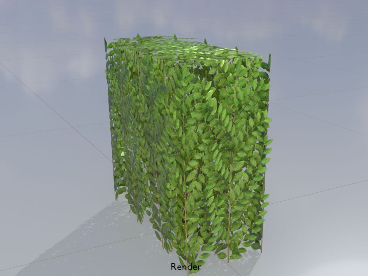 Cherry laurel hedge 500mm version-4 Low-poly 3D model_14