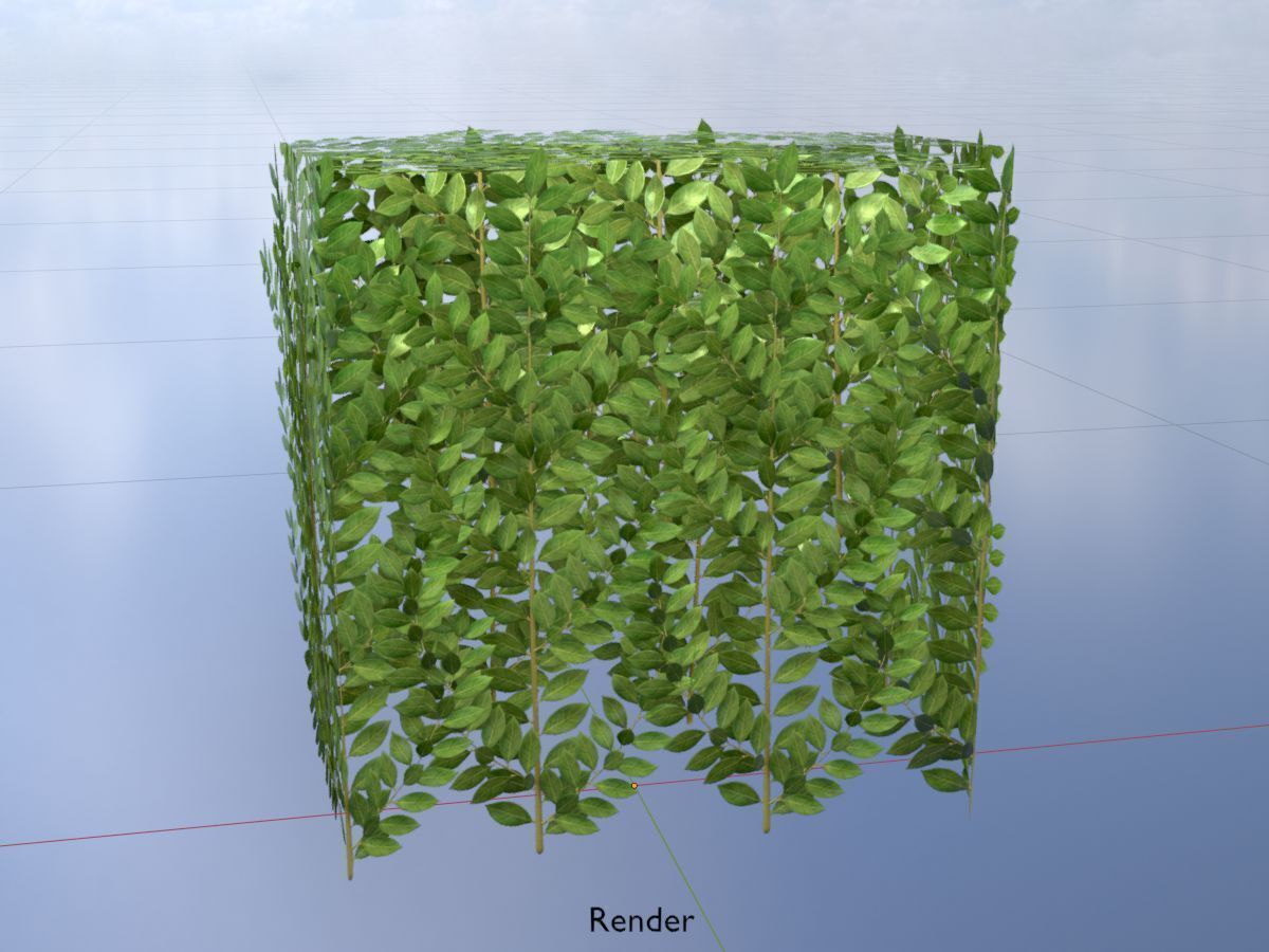 Cherry laurel hedge 500mm version-5 Low-poly 3D model_19