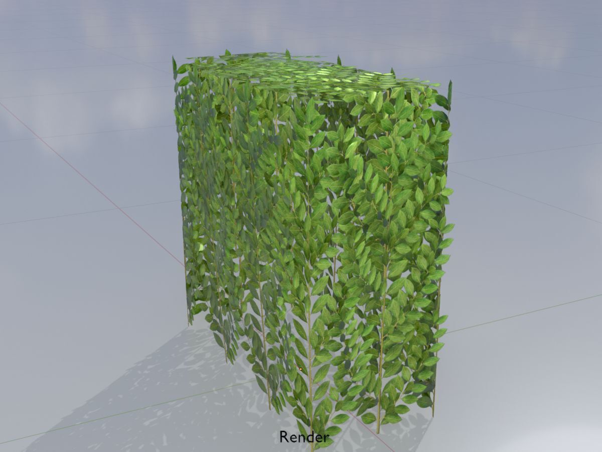 Cherry laurel hedge 500mm version-5 Low-poly 3D model_14