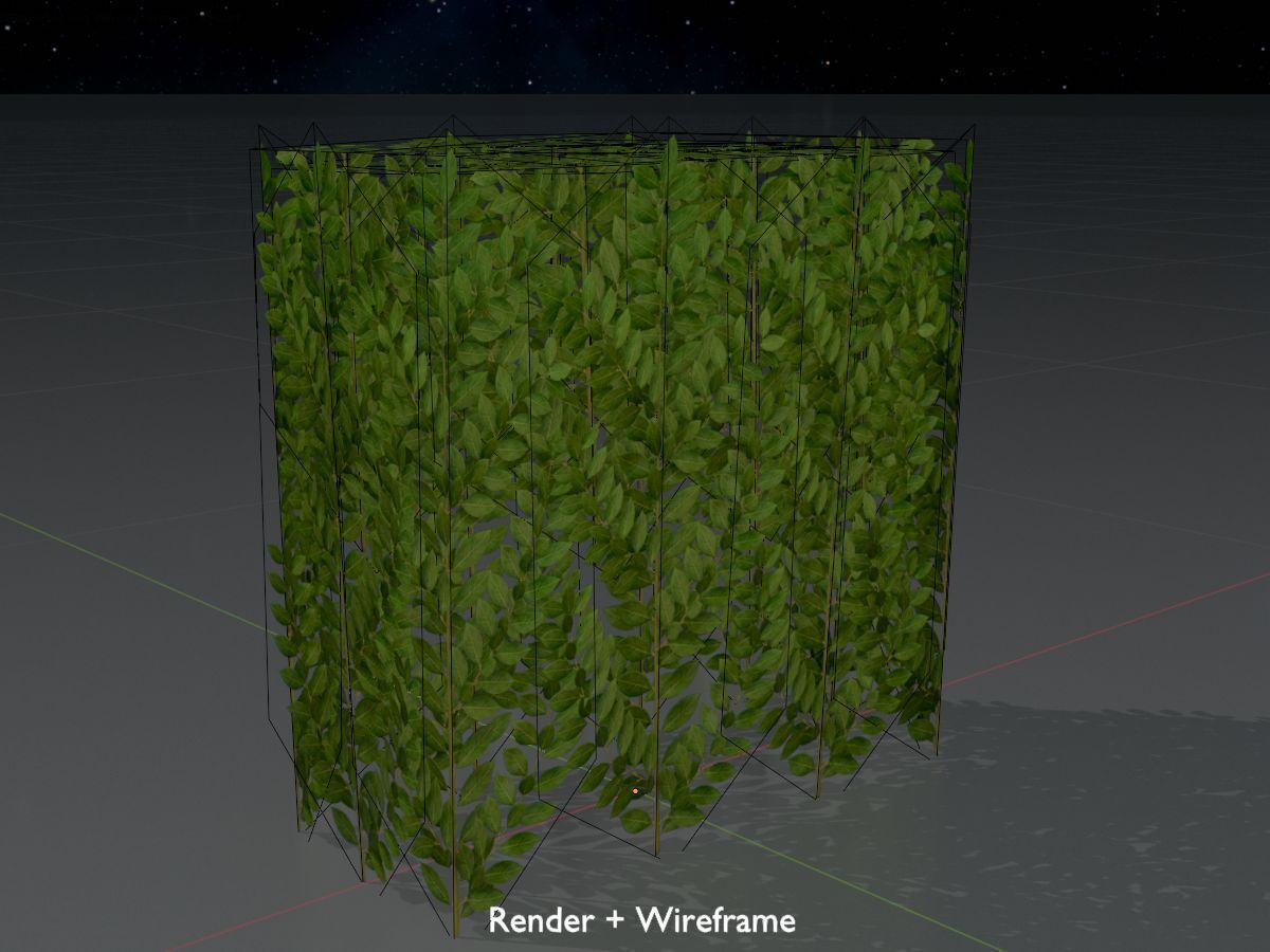 Cherry laurel hedge 500mm version-5 Low-poly 3D model_8
