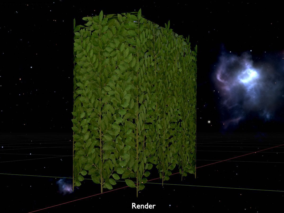 Cherry laurel hedge 500mm version-5 Low-poly 3D model_20