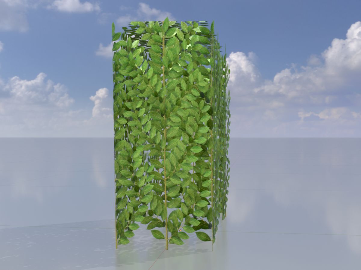 Cherry laurel hedge 500mm version-5 Low-poly 3D model_3
