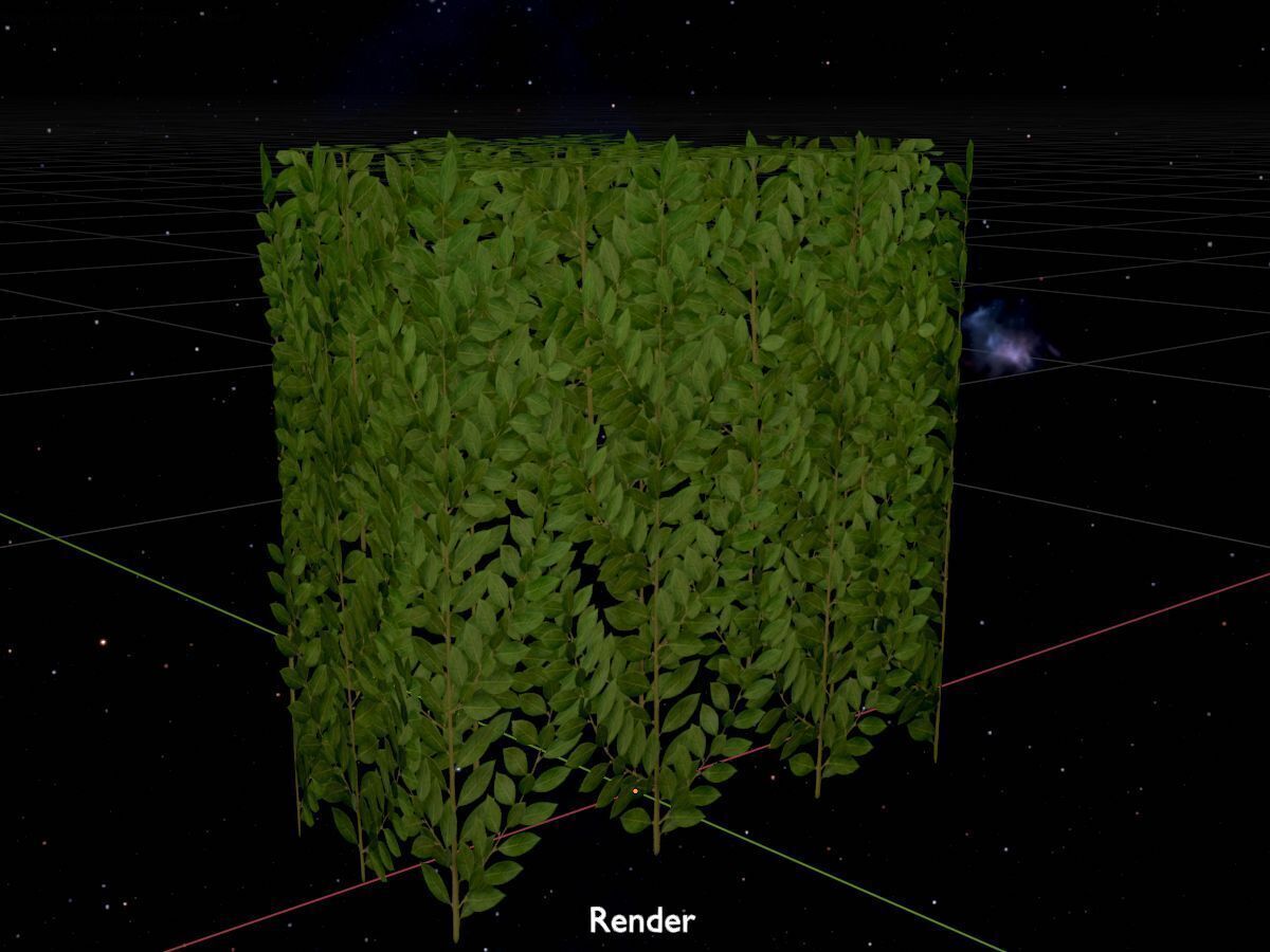 Cherry laurel hedge 500mm version-5 Low-poly 3D model_17