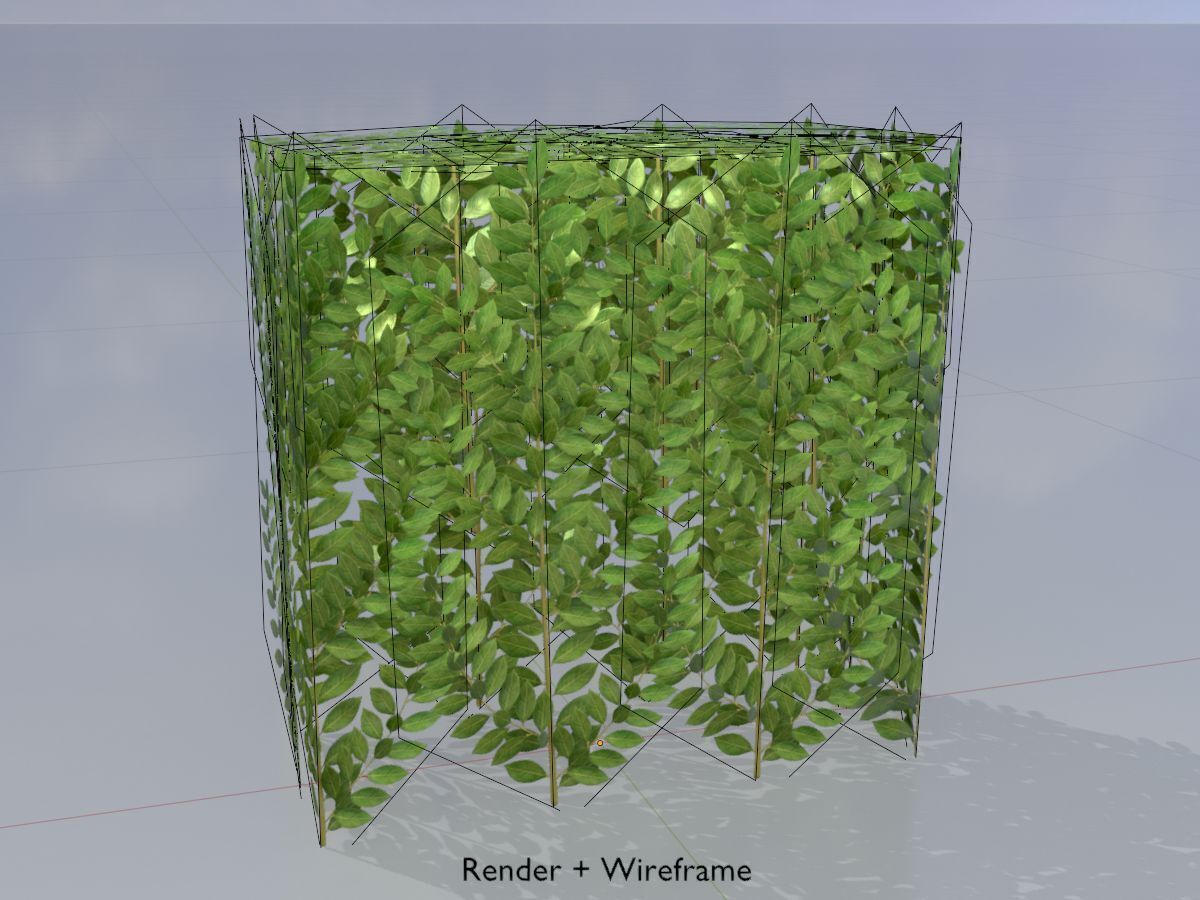 Cherry laurel hedge 500mm version-5 Low-poly 3D model_5