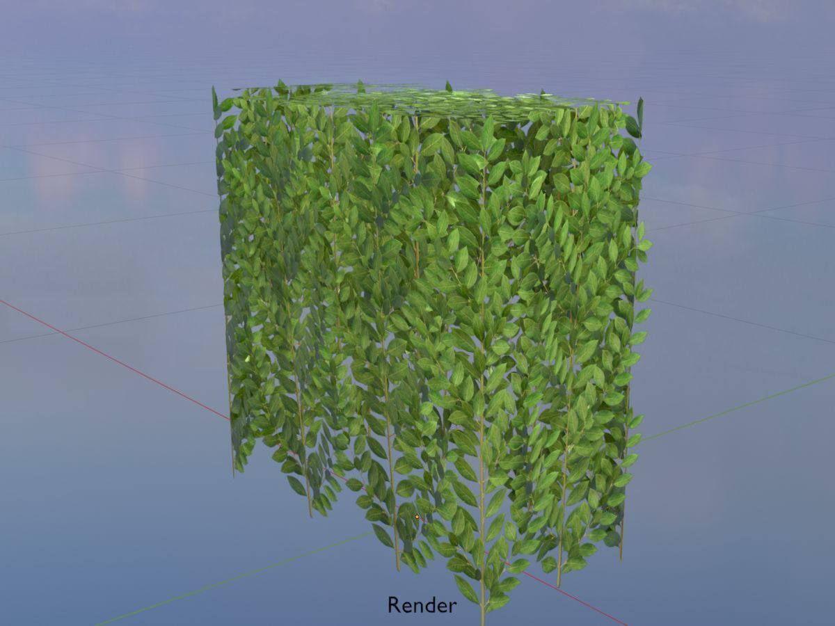 Cherry laurel hedge 500mm version-5 Low-poly 3D model_18