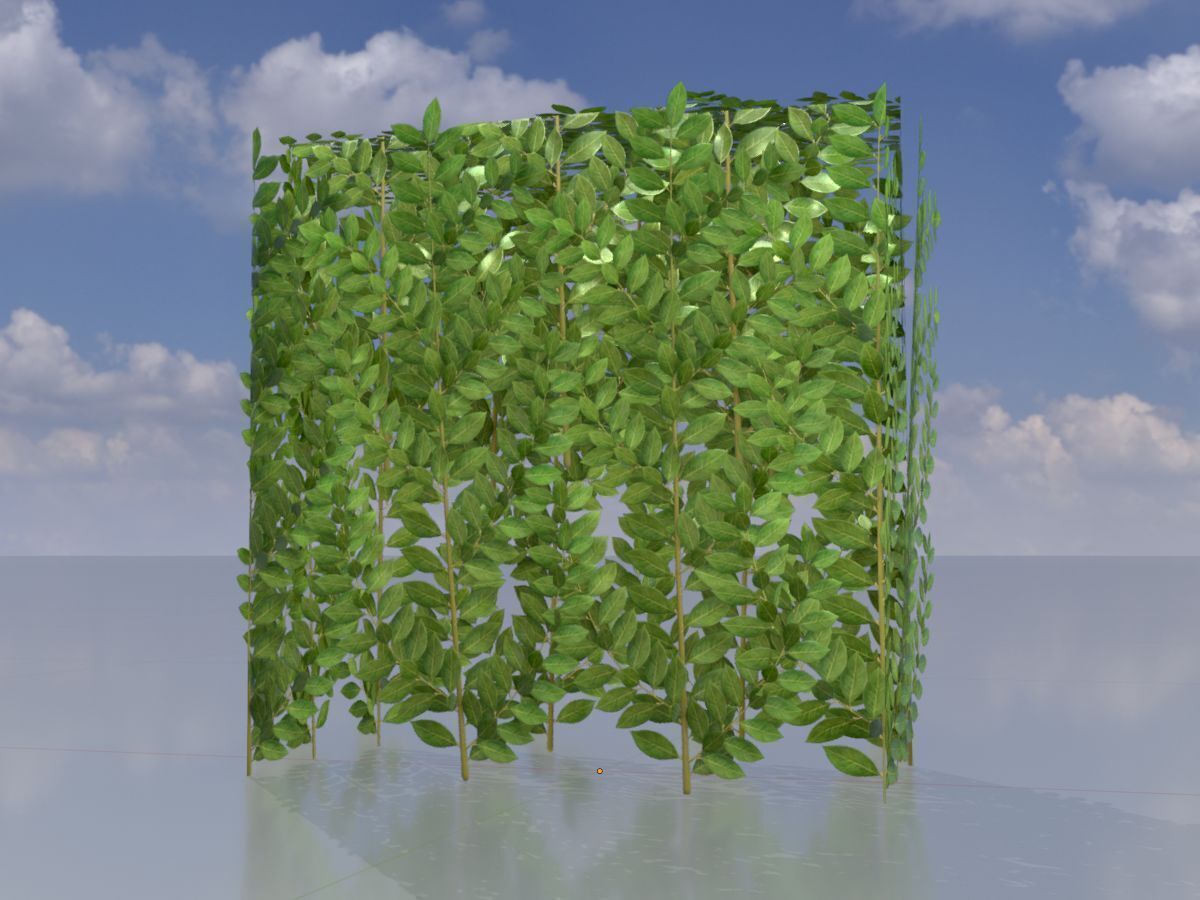 Cherry laurel hedge 500mm version-5 Low-poly 3D model_2
