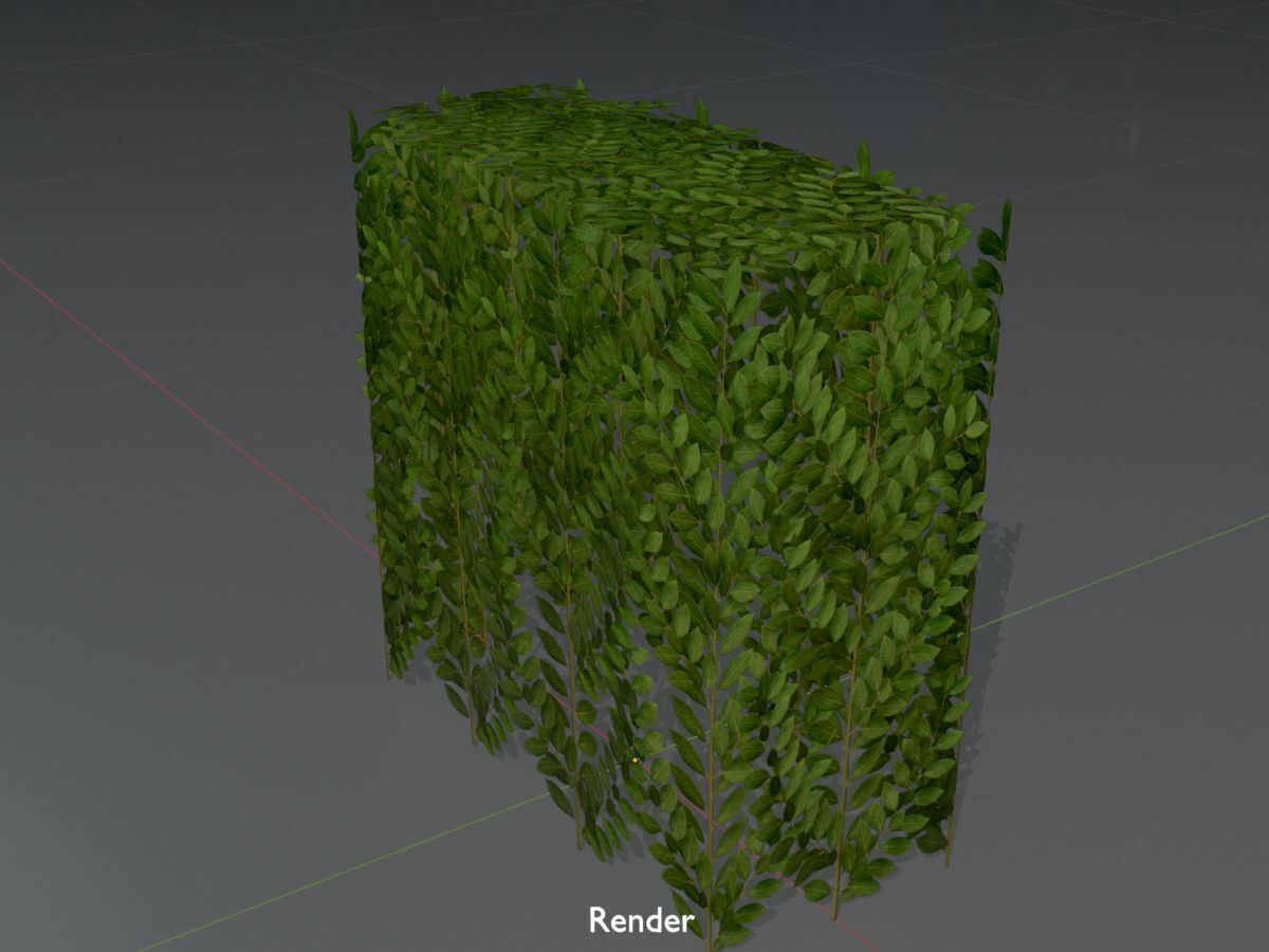 Cherry laurel hedge 500mm version-5 Low-poly 3D model_16