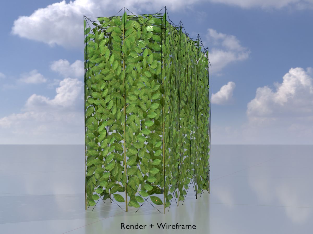 Cherry laurel hedge 500mm version-5 Low-poly 3D model_6