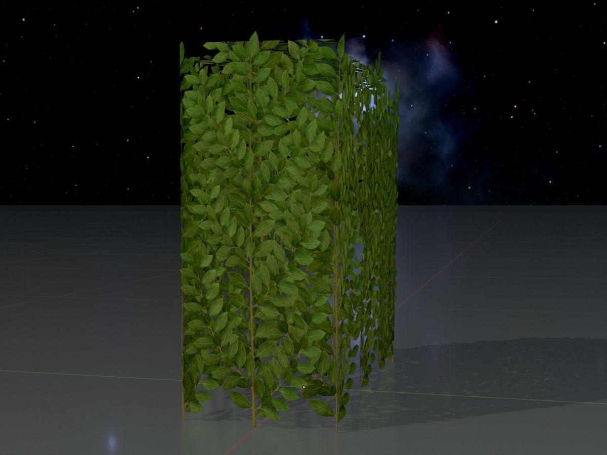 Cherry laurel hedge 500mm version-5 Low-poly 3D model_4