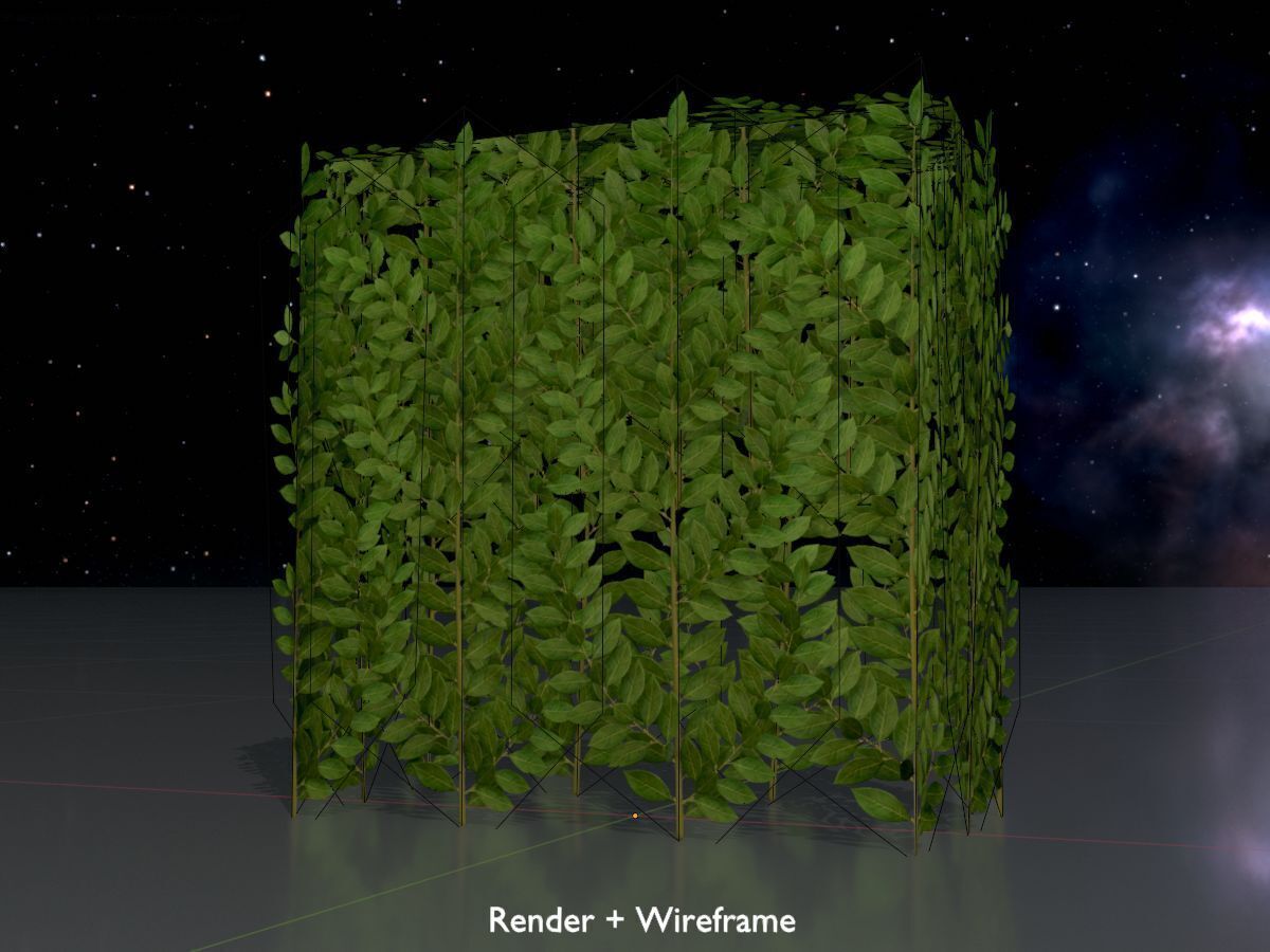 Cherry laurel hedge 500mm version-5 Low-poly 3D model_7