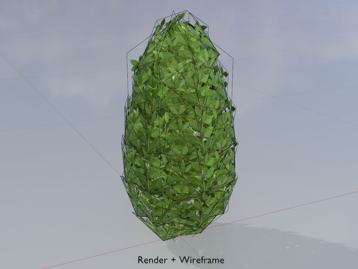 Cherry laurel hedge 500mm version-6 Low-poly 3D model_5