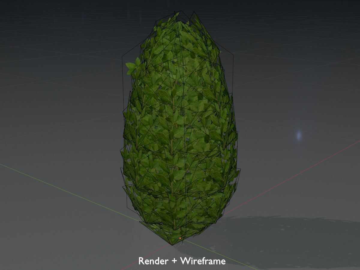 Cherry laurel hedge 500mm version-6 Low-poly 3D model_8