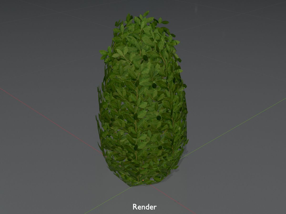 Cherry laurel hedge 500mm version-6 Low-poly 3D model_16